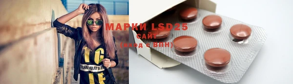 индика Ахтубинск