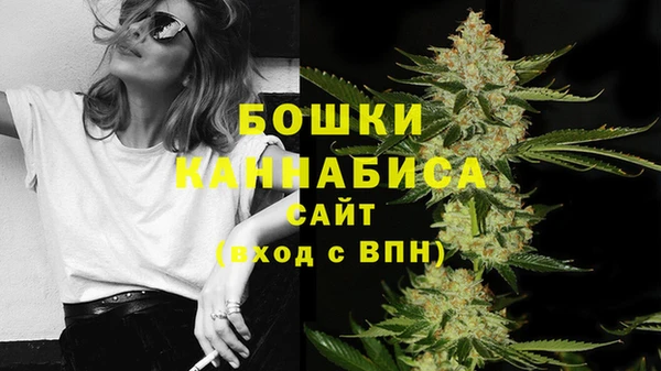 гашик Осташков