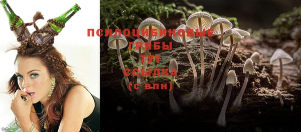 твердый Аша