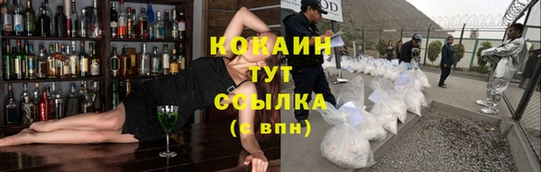 гашик Осташков